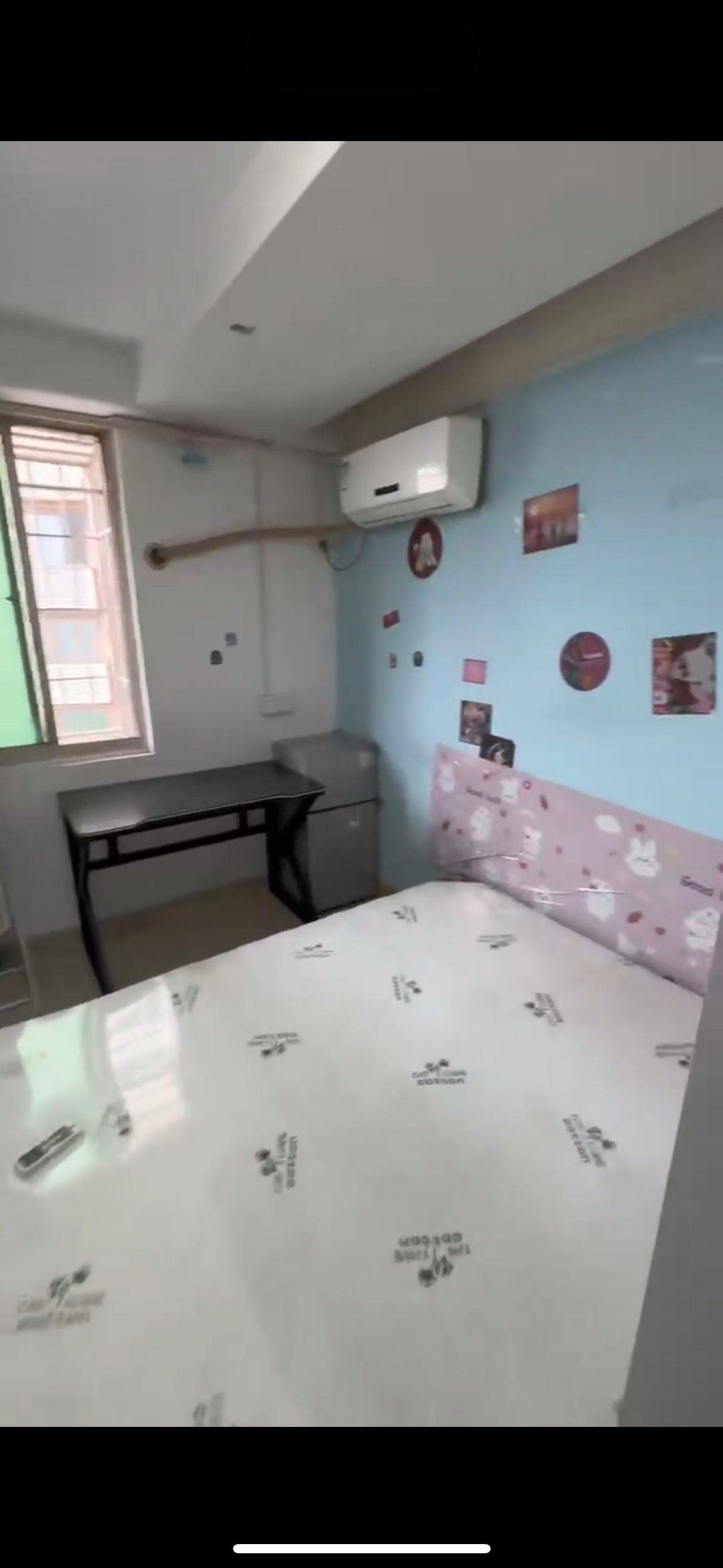 厦门-思明-溫馨小窩,乾淨治愈,不限性別,寵物友好