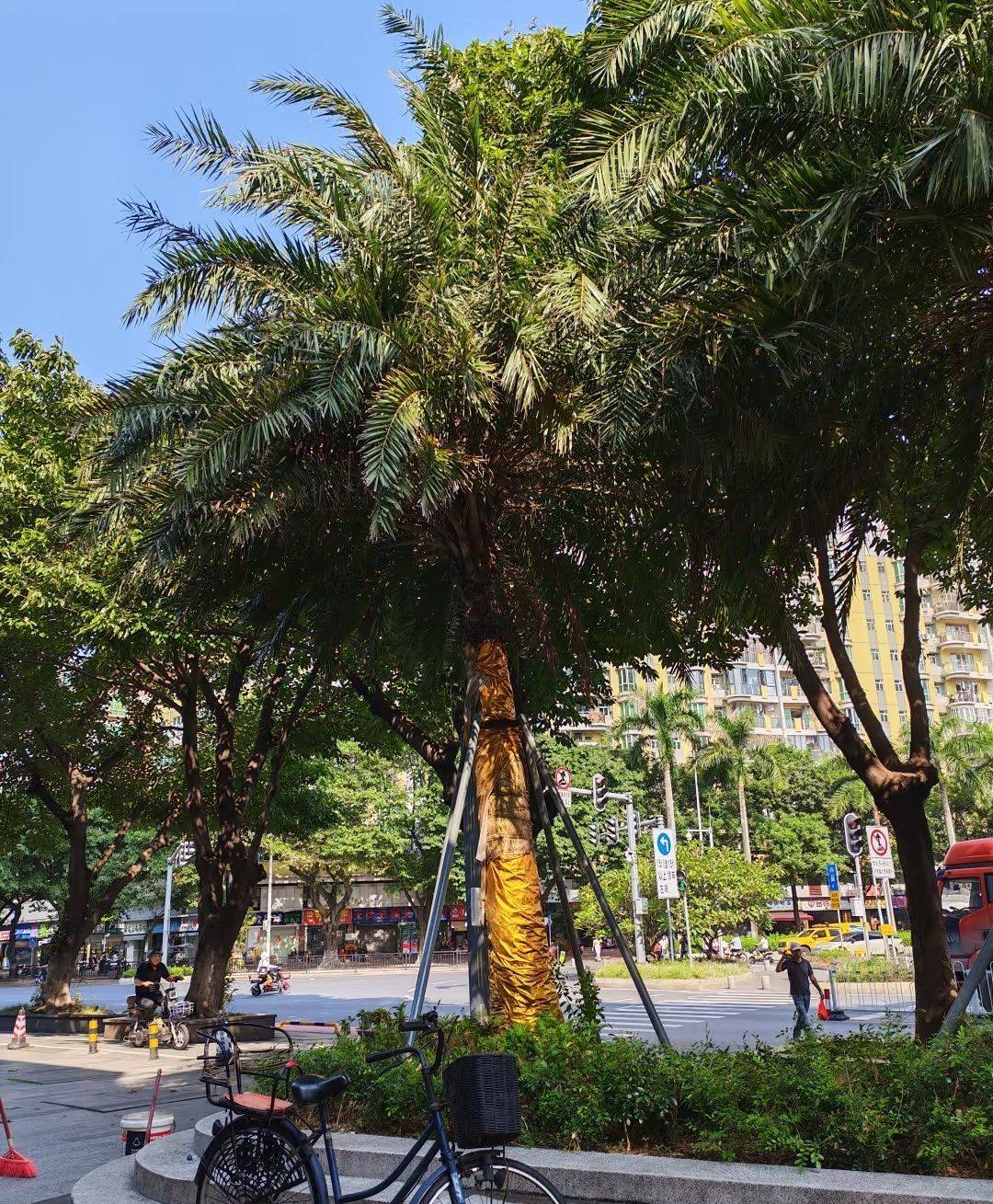 Guangzhou-Huangpu-Cozy Home,Clean&Comfy,No Gender Limit,Chilled,Pet Friendly