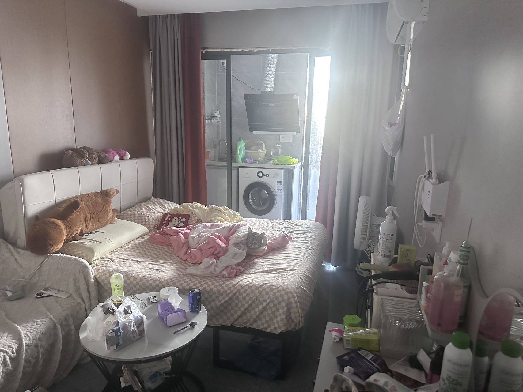 Shenzhen-Longgang-Cozy Home,Clean&Comfy,No Gender Limit,Hustle & Bustle,Pet Friendly