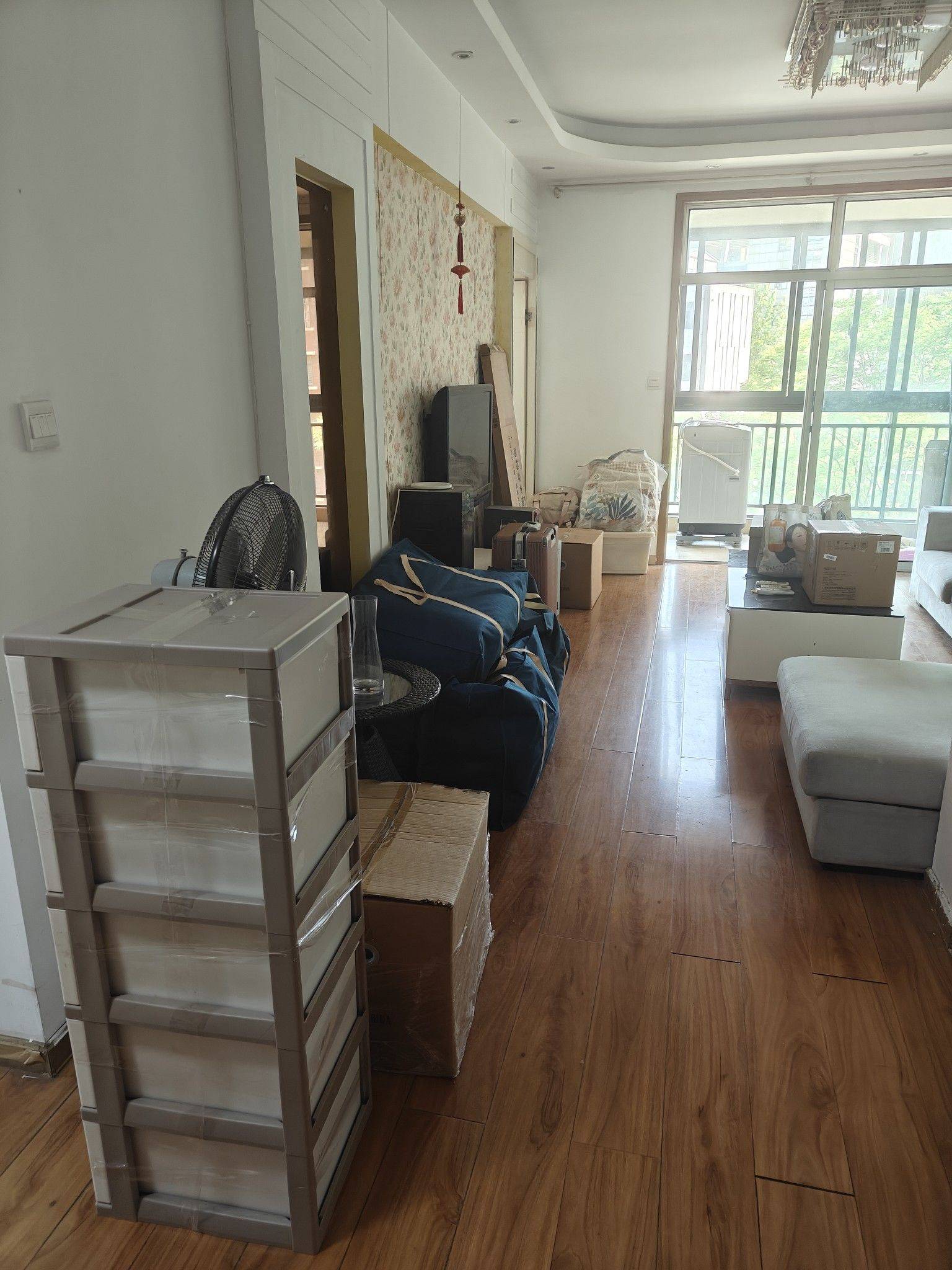 Wuhan-Hongshan-Pet Friendly