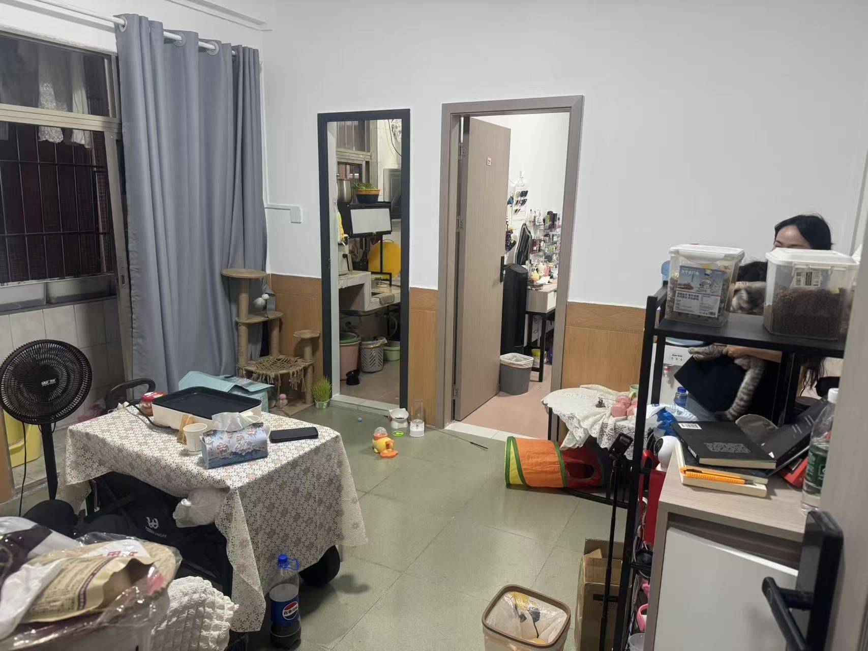 Shenzhen-BaoAn-Pet Friendly