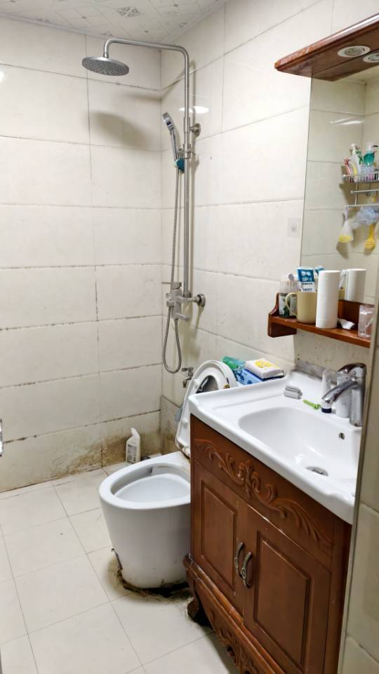 西安-雁塔-干净治愈,不限性别