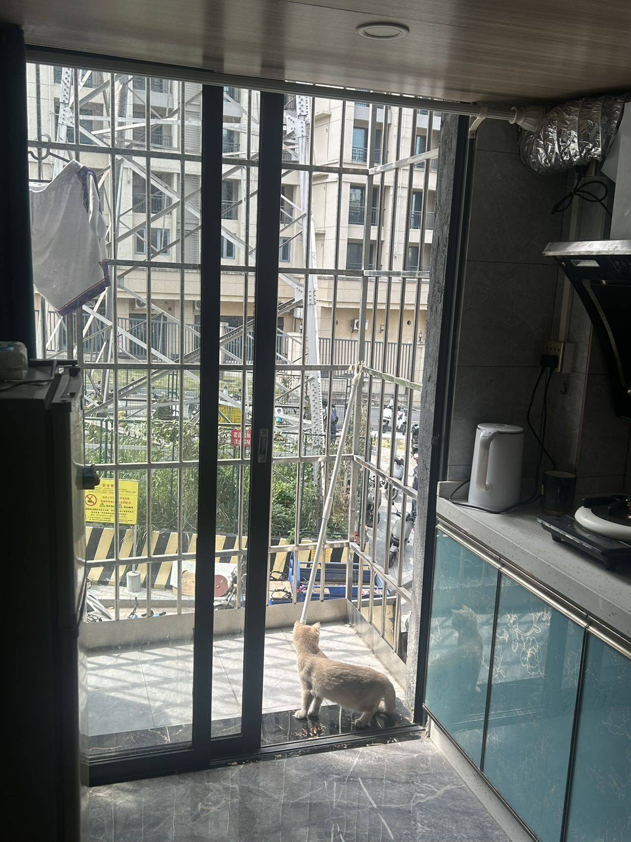 Guangzhou-Panyu-Cozy Home,No Gender Limit,Pet Friendly