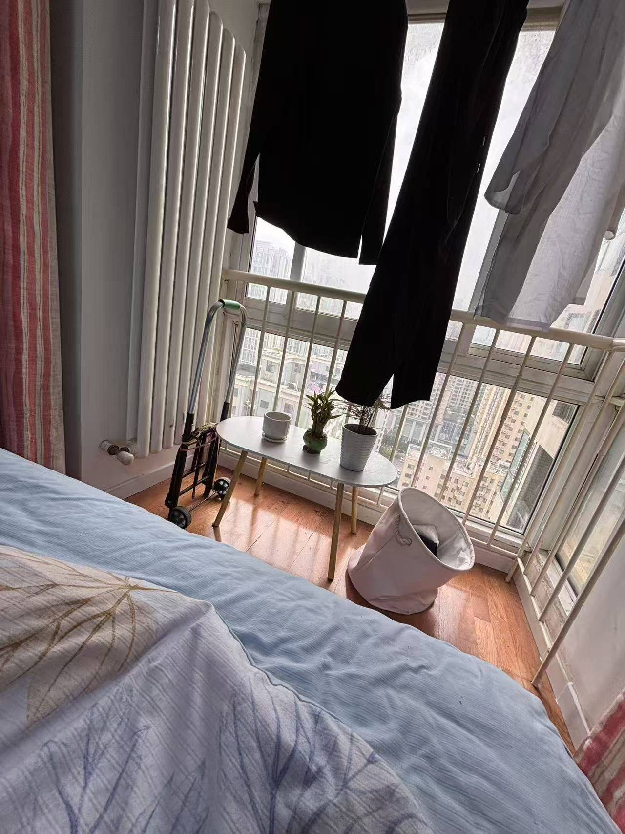 郑州-二七-温馨小窝,干净治愈,市井烟火气,老友记,慢时光,LGBTQ友好,宠物友好