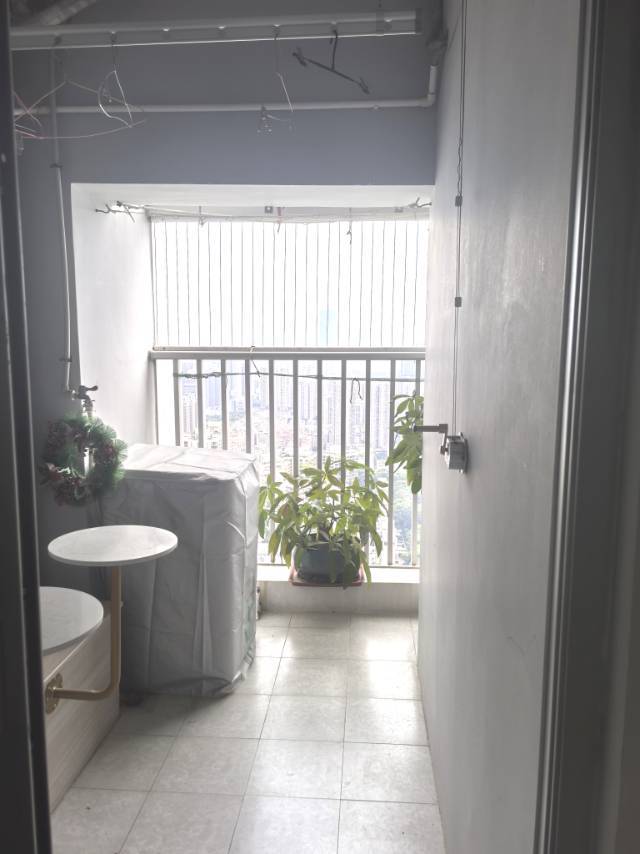 Shenzhen-Futian-Cozy Home,Clean&Comfy,No Gender Limit,Pet Friendly