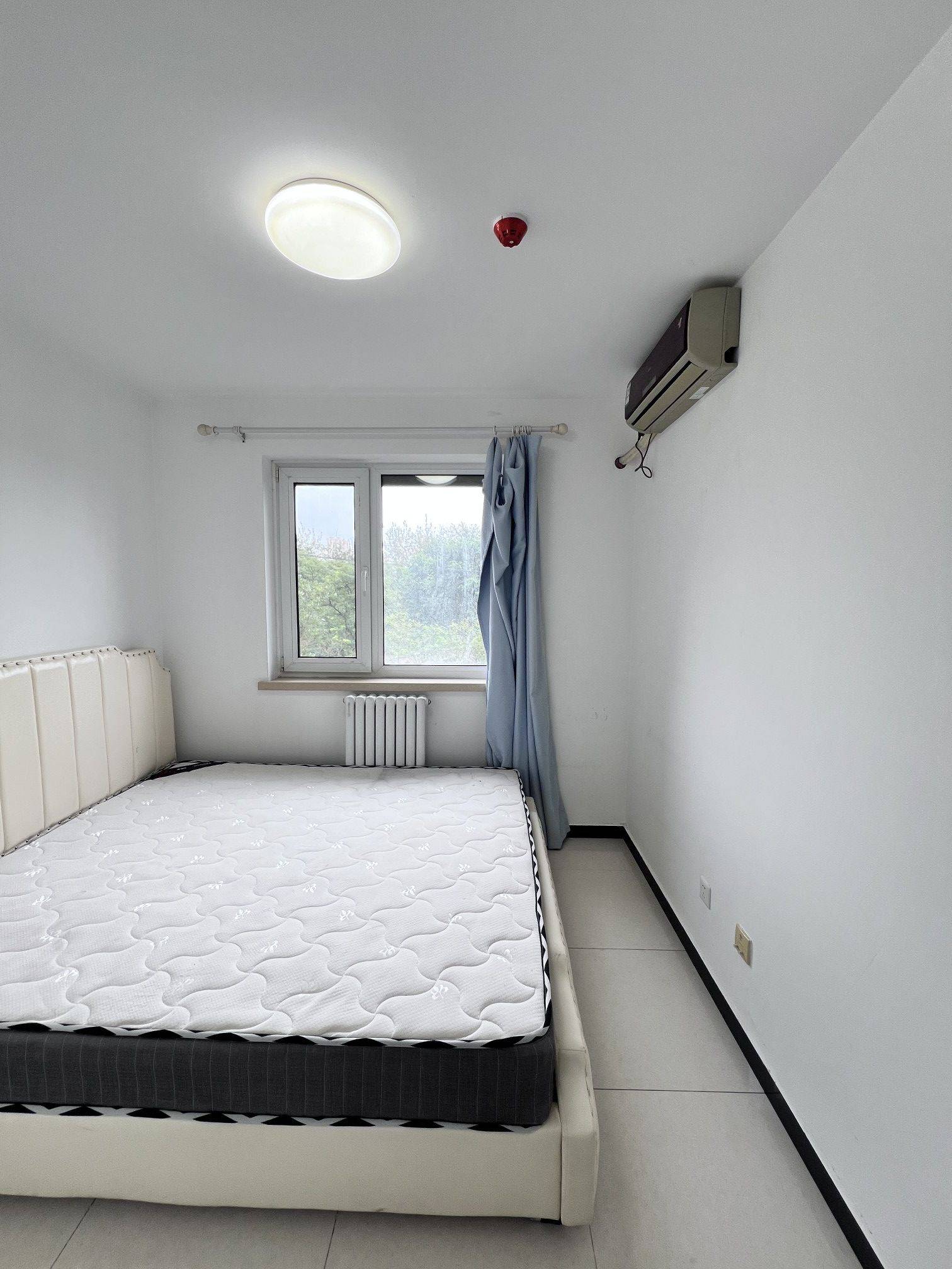 北京-朝阳-温馨小窝,干净治愈,不限性别