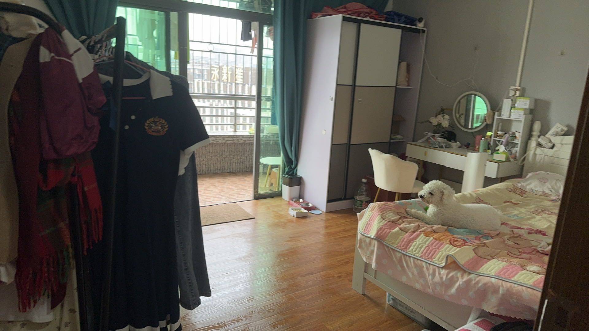 Shenzhen-Nanshan-Cozy Home,No Gender Limit,LGBTQ Friendly,Pet Friendly