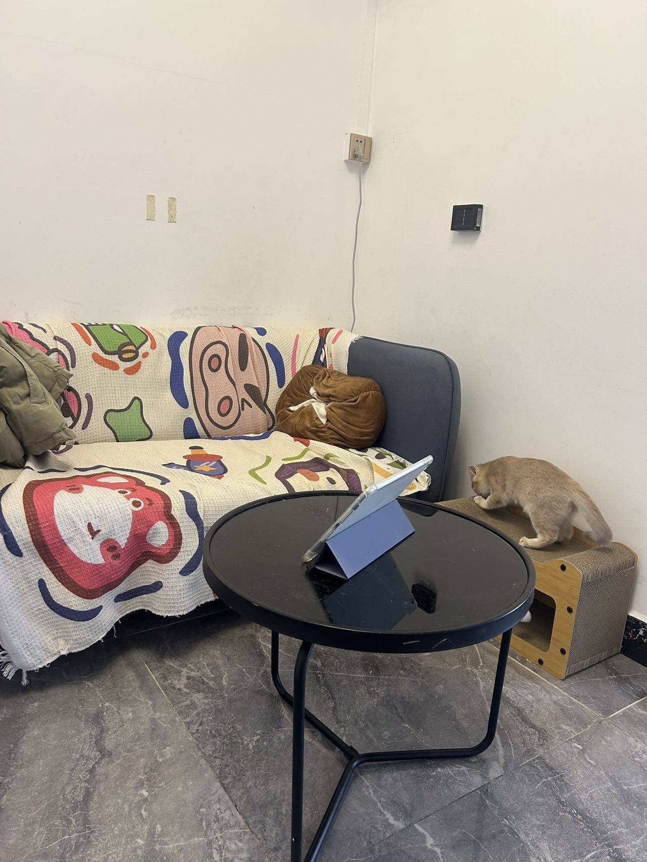 Guangzhou-Panyu-Cozy Home,No Gender Limit,Pet Friendly