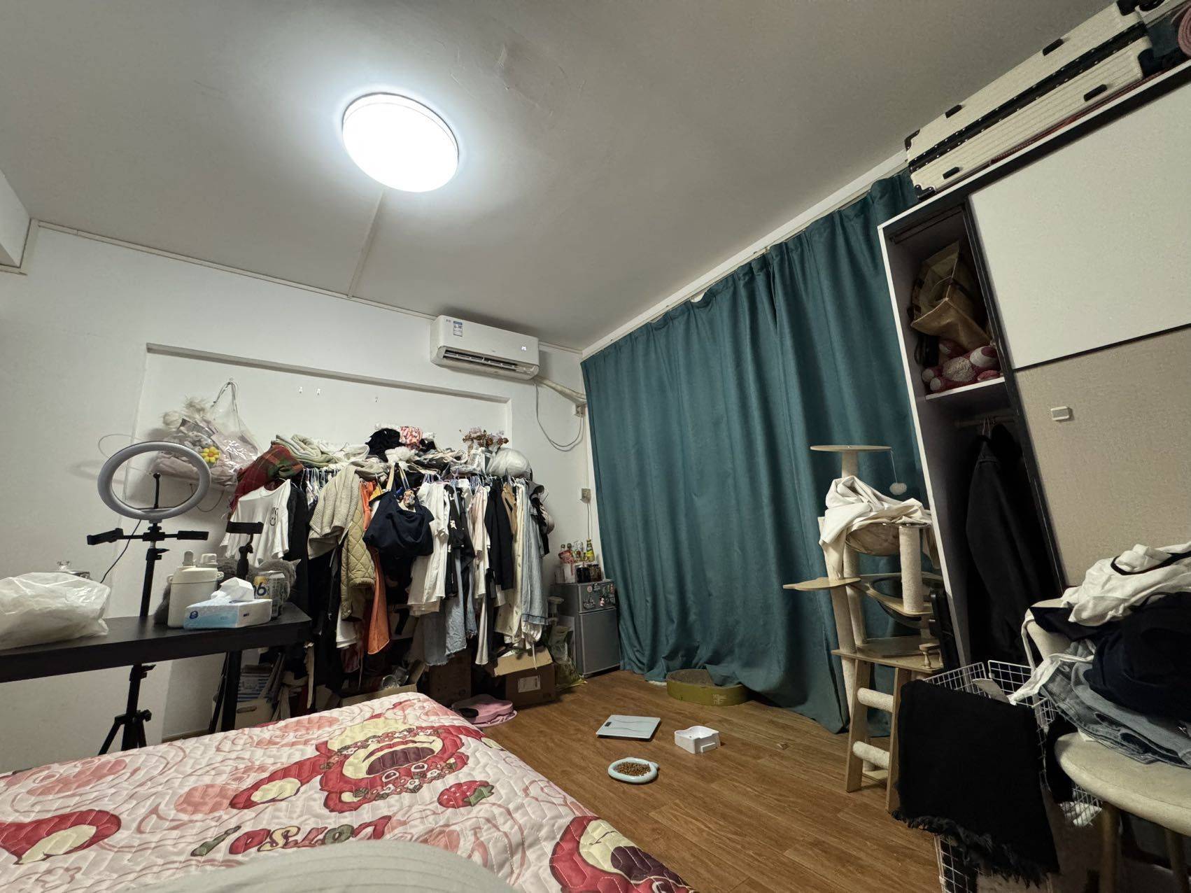 Shenzhen-Nanshan-Cozy Home,No Gender Limit,LGBTQ Friendly,Pet Friendly