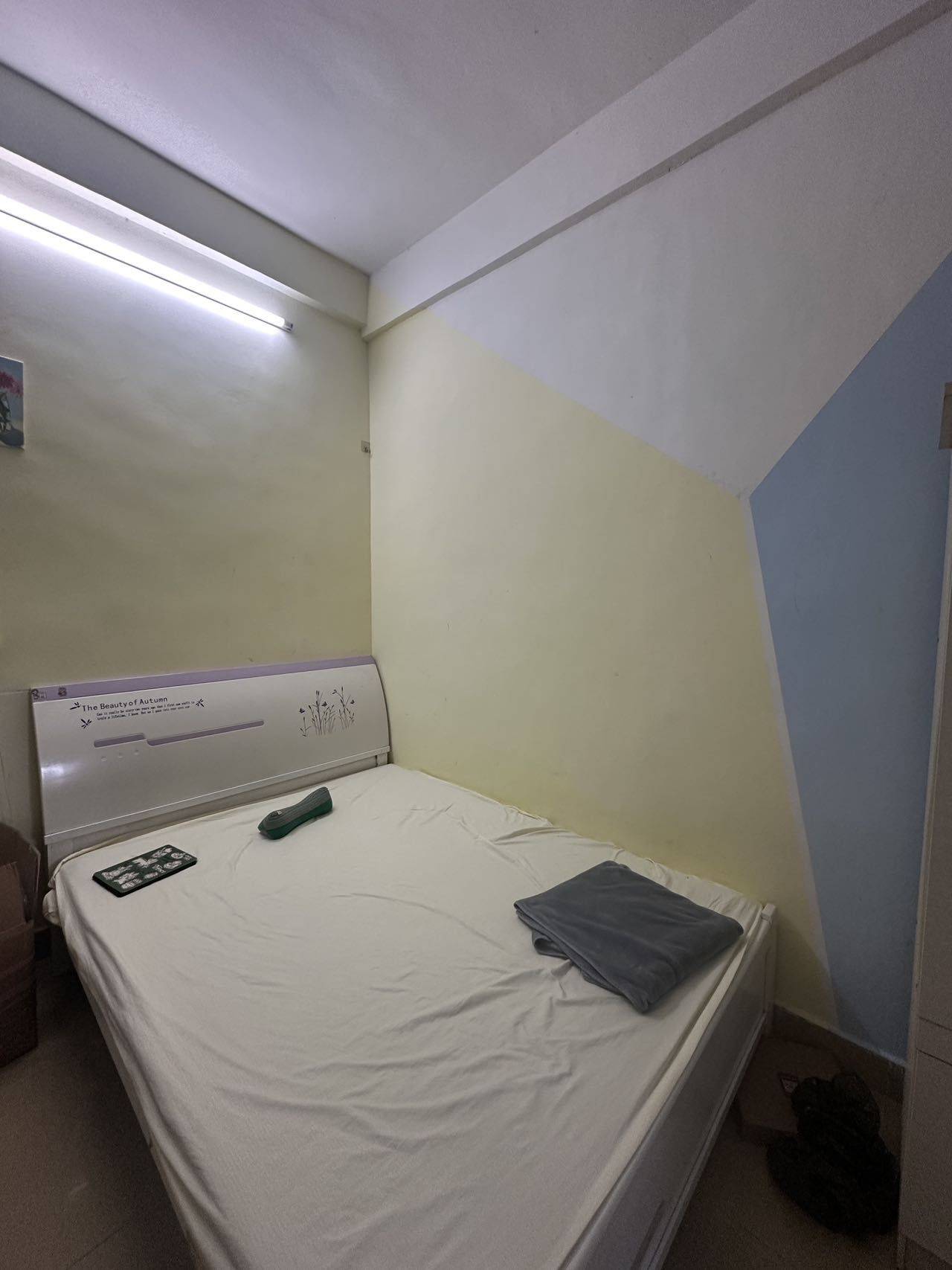 Shenzhen-Longgang-Pet Friendly