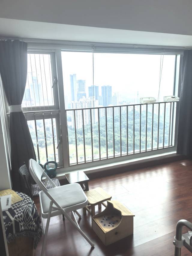 Shenzhen-Futian-Cozy Home,Clean&Comfy,No Gender Limit,Pet Friendly