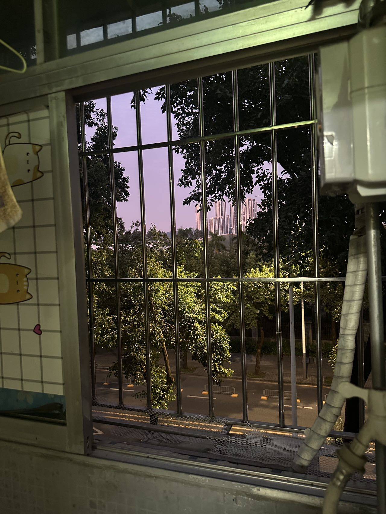 深圳-龙岗-温馨小窝,干净治愈,不限性别,宠物友好