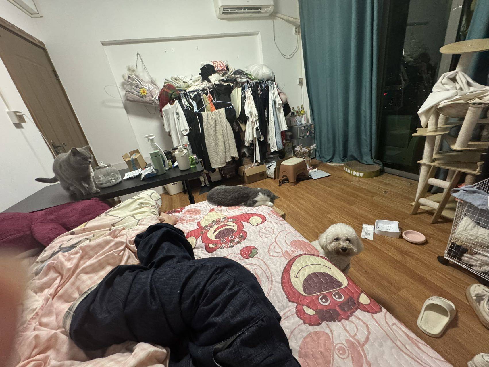 Shenzhen-Nanshan-Cozy Home,No Gender Limit,LGBTQ Friendly,Pet Friendly
