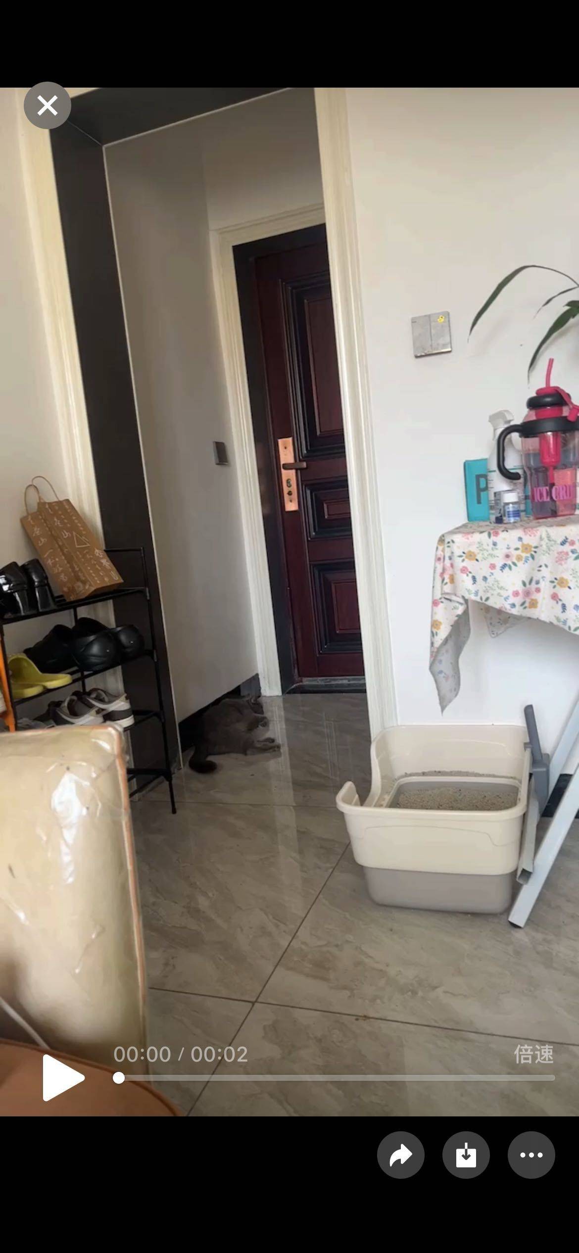 Guiyang-Yunyan-Cozy Home,Clean&Comfy,No Gender Limit