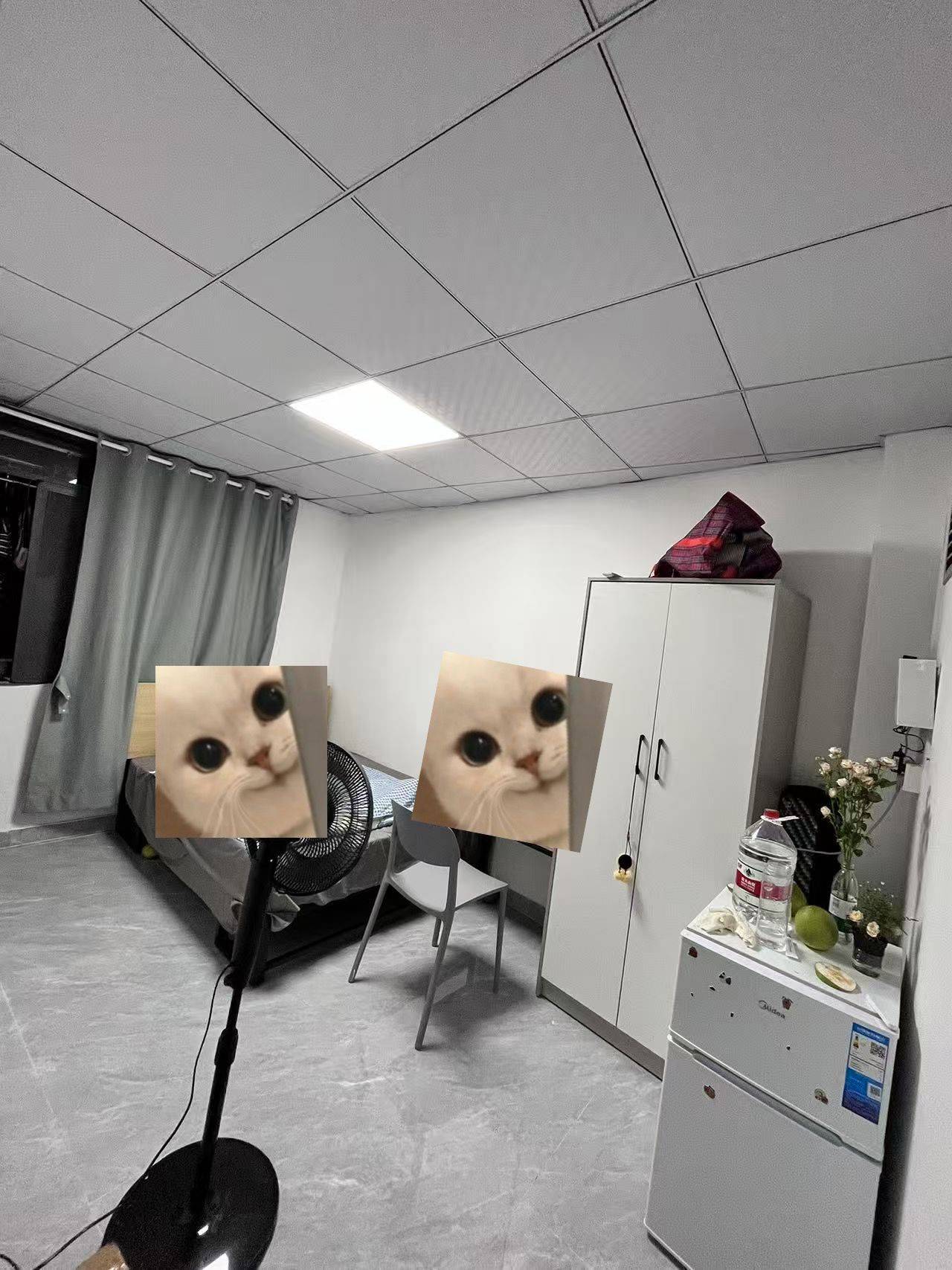 Shenzhen-Longgang-Cozy Home,Clean&Comfy,No Gender Limit,Pet Friendly