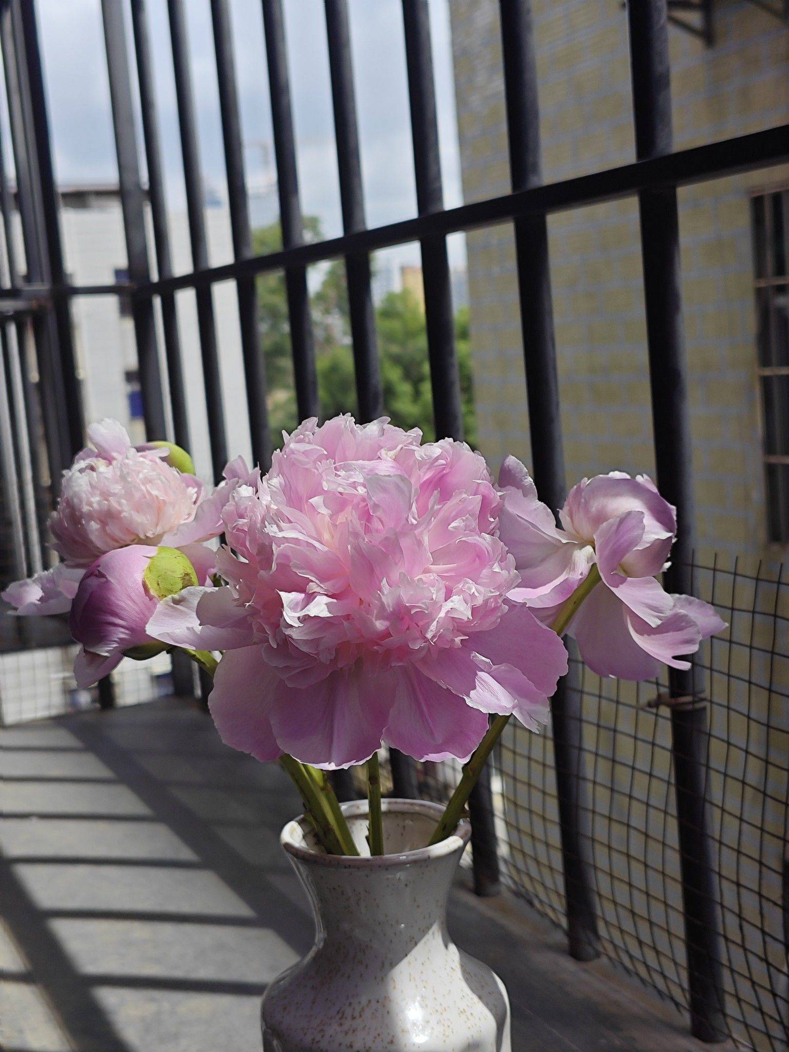 Shenzhen-Longhua-Cozy Home,Clean&Comfy,No Gender Limit,Hustle & Bustle,Pet Friendly