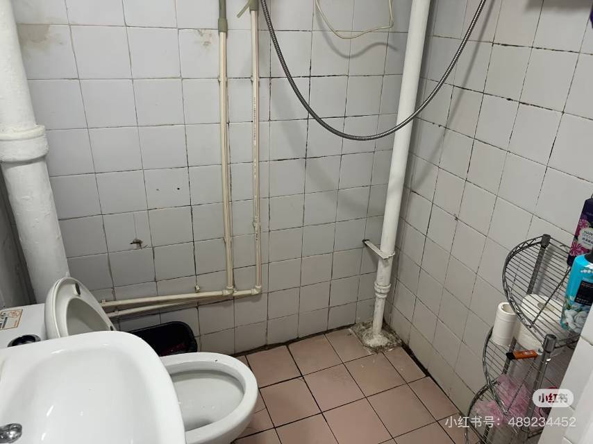 北京-朝阳-温馨小窝,干净治愈,不限性别