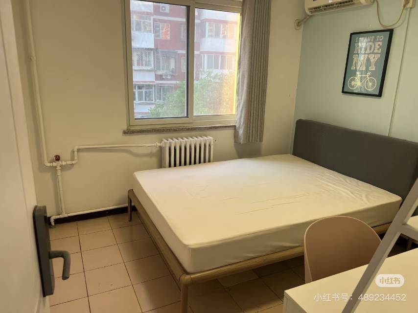 Beijing-Chaoyang-👯♀️,Shared Apartment,Long & Short Term