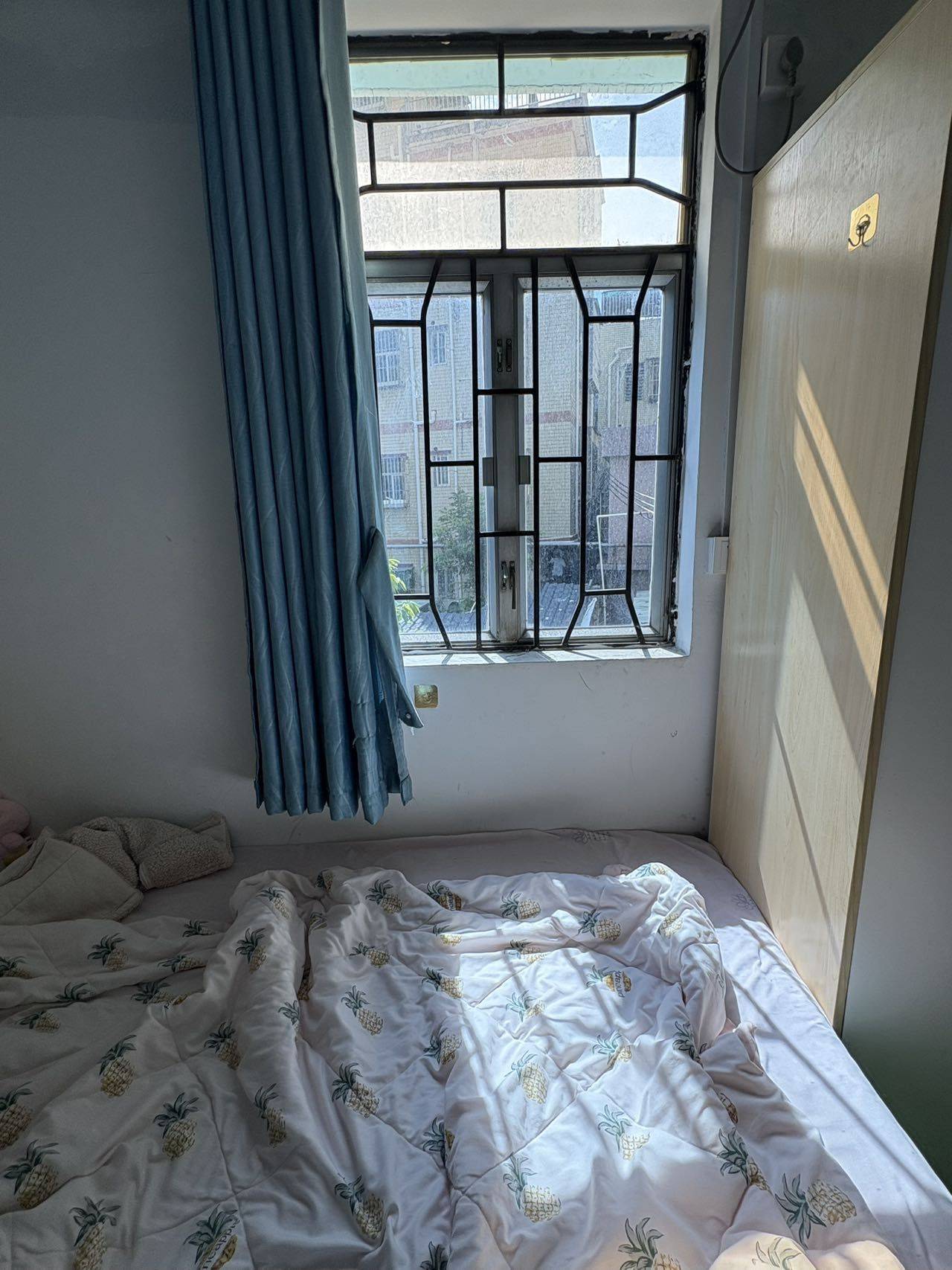 深圳-宝安-温馨小窝,干净治愈,不限性别,宠物友好