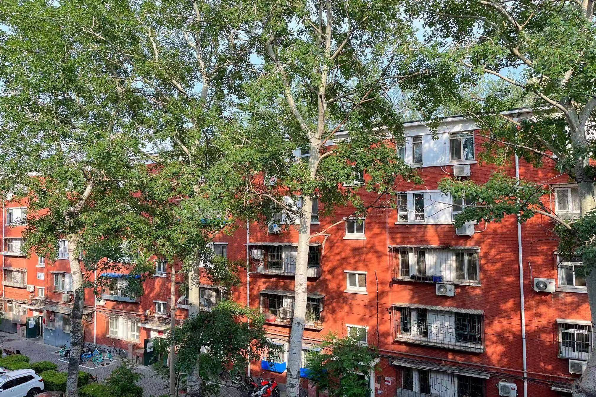 Beijing-Chaoyang-Cozy Home,Clean&Comfy,Hustle & Bustle,“Friends”,Chilled