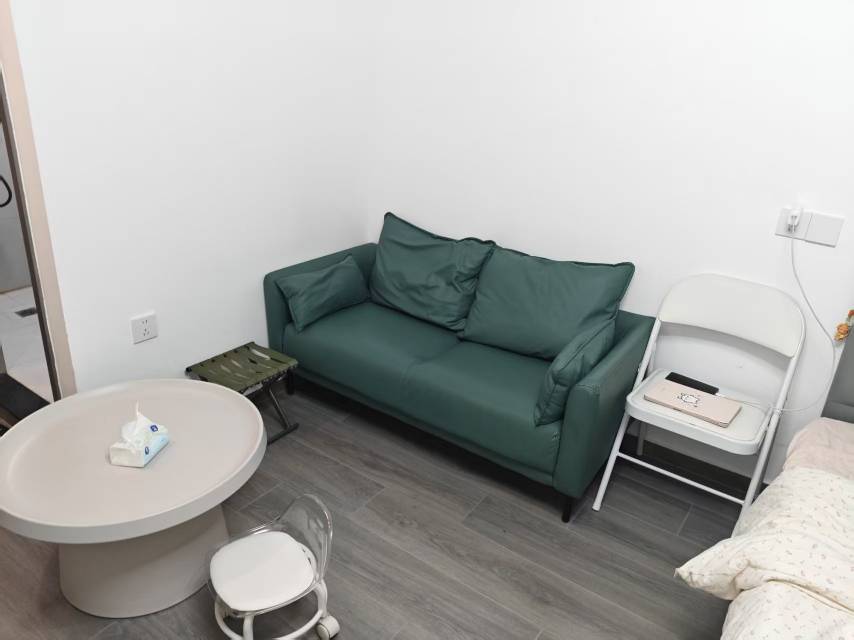 武汉-洪山-溫馨小窩,不限性別,寵物友好