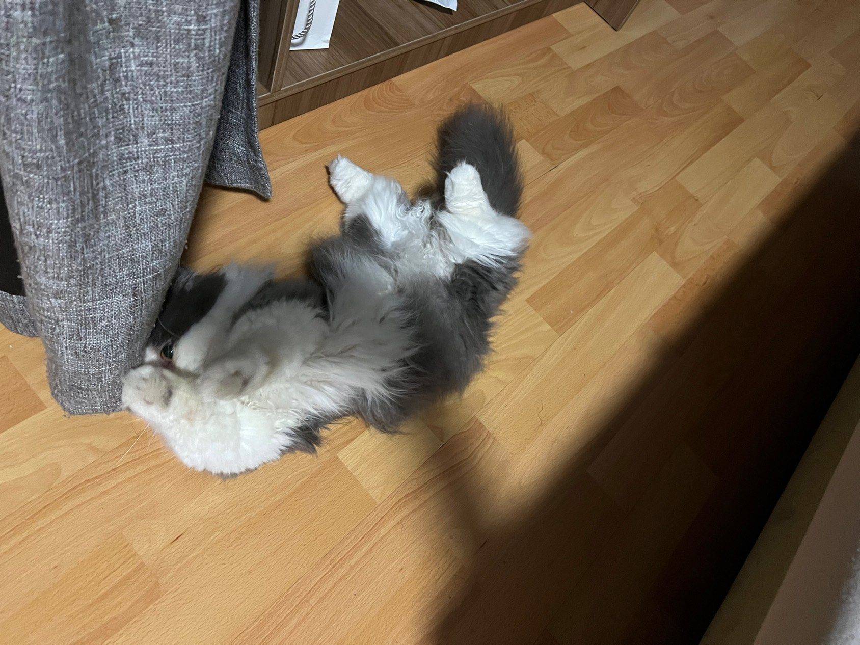 武汉-洪山-溫馨小窩,乾淨治愈,不限性別,市井煙火氣,老友記,慢時光,LGBTQ友好