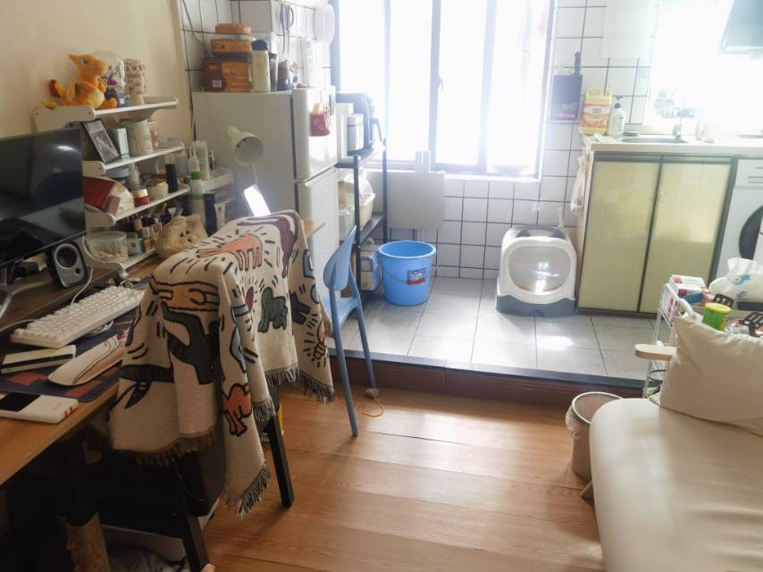 Shenzhen-BaoAn-Cozy Home,Clean&Comfy,No Gender Limit,Pet Friendly
