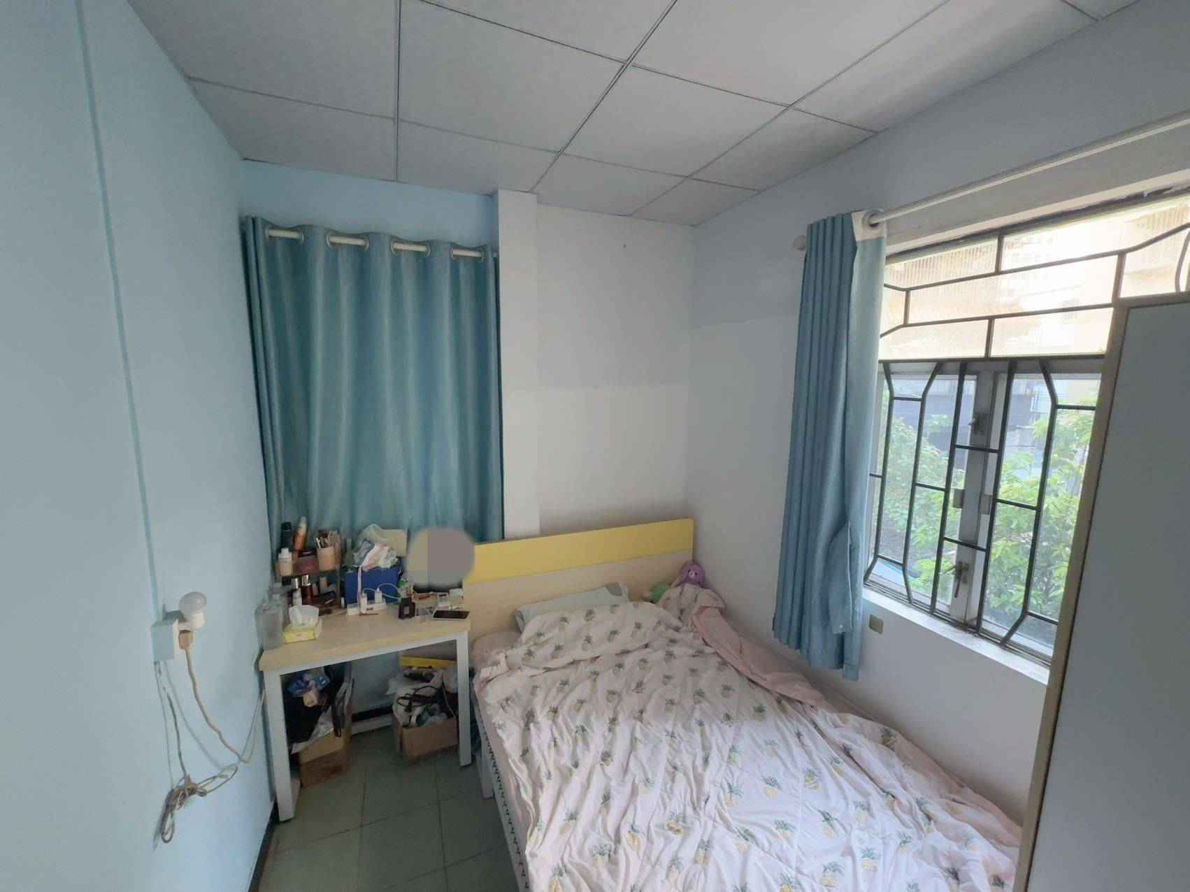 深圳-宝安-温馨小窝,干净治愈,不限性别,宠物友好