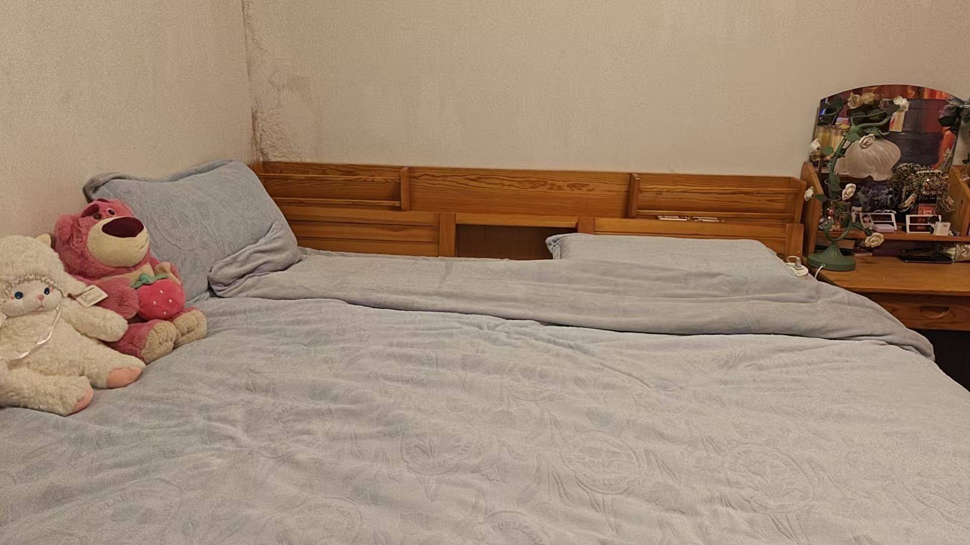 北京-通州-不限性別,寵物友好