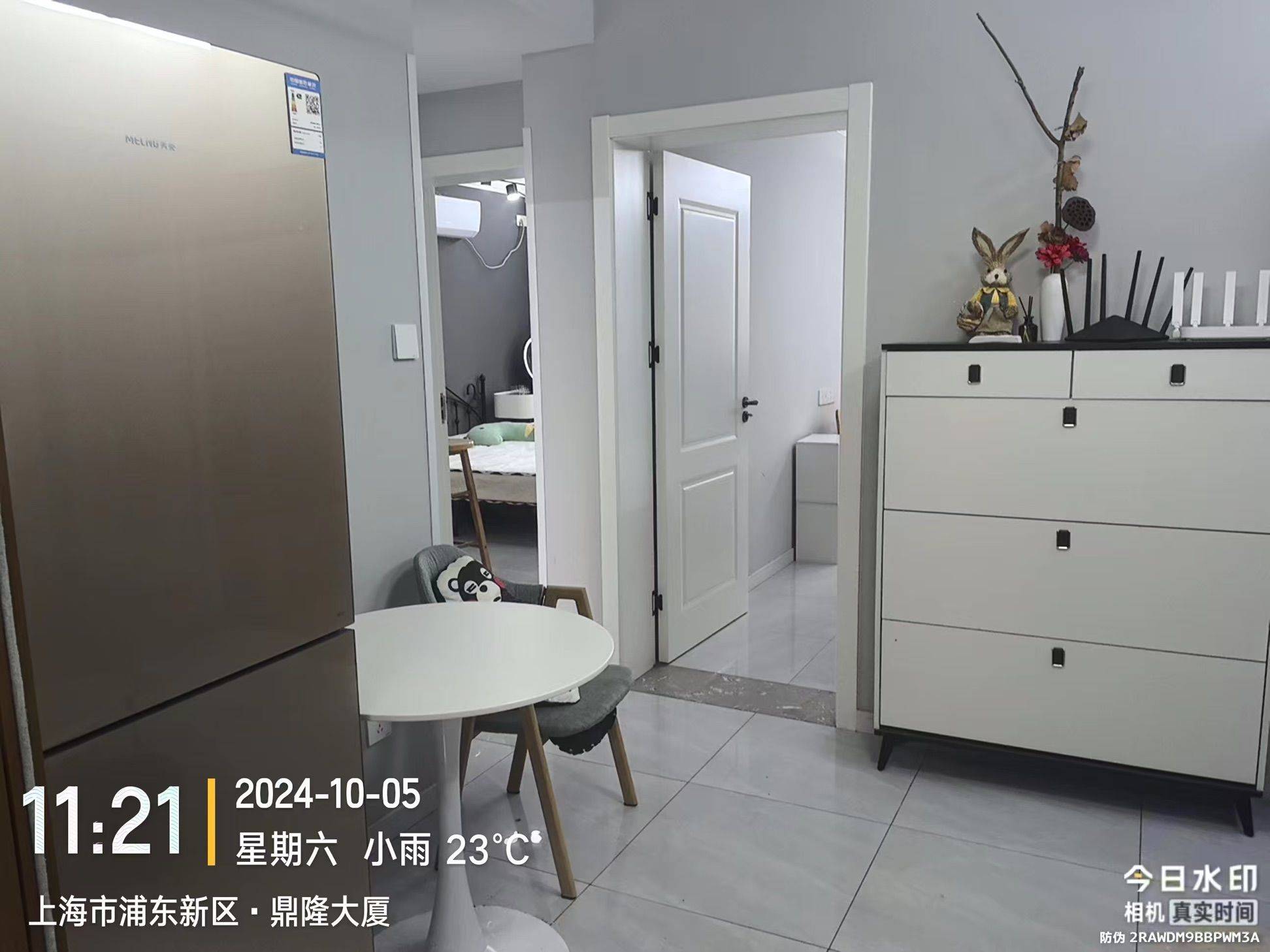 上海-浦東-溫馨小窩,不限性別,寵物友好