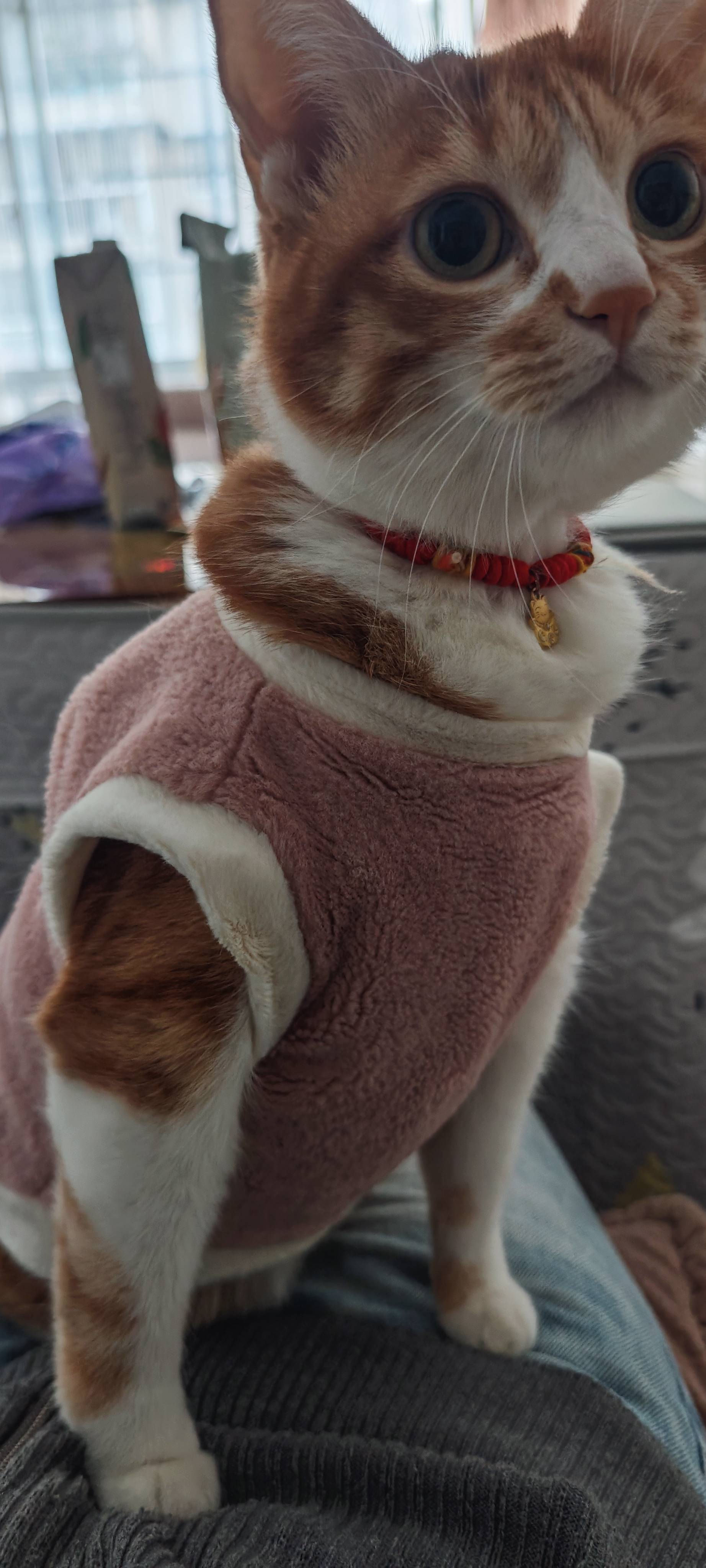 Guiyang-Guanshanhu-Cozy Home,Clean&Comfy,Pet Friendly