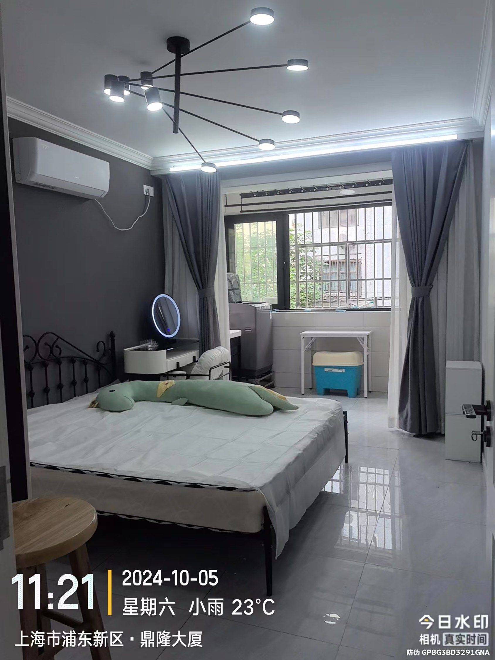 上海-浦東-溫馨小窩,不限性別,寵物友好