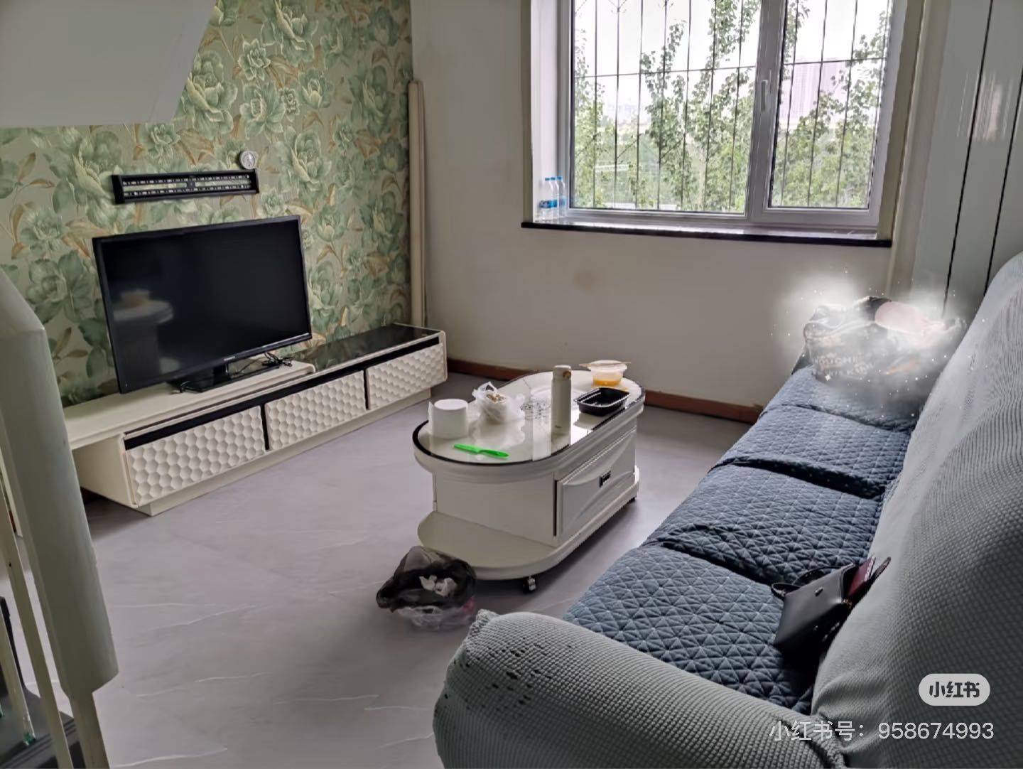 天津-紅橋-溫馨小窩,乾淨治愈,老友記,慢時光,LGBTQ友好,寵物友好