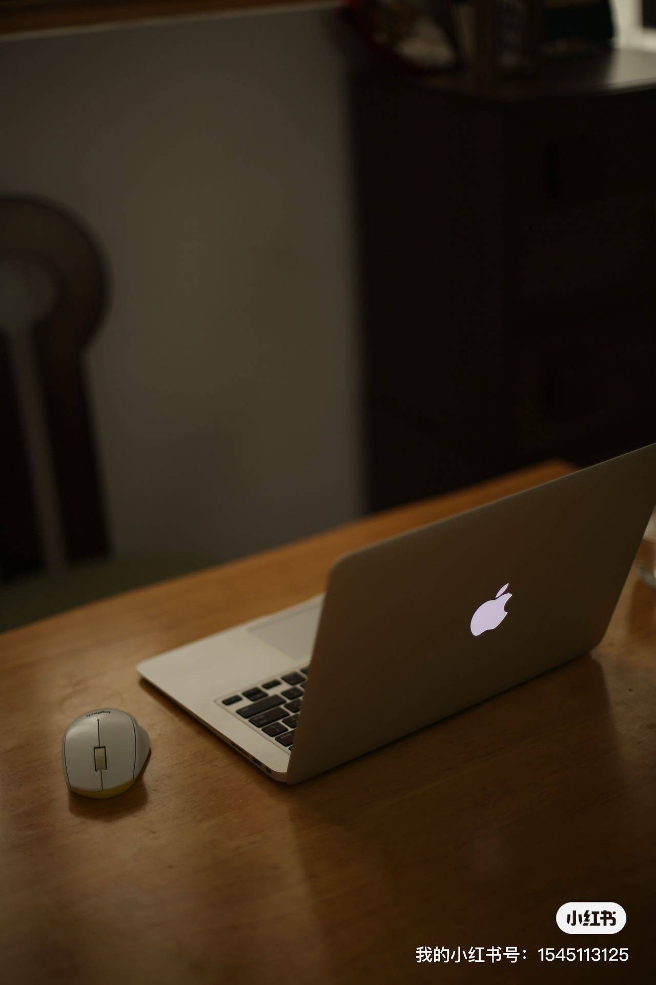 Shanghai-Songjiang-Cozy Home,No Gender Limit,“Friends”,Pet Friendly