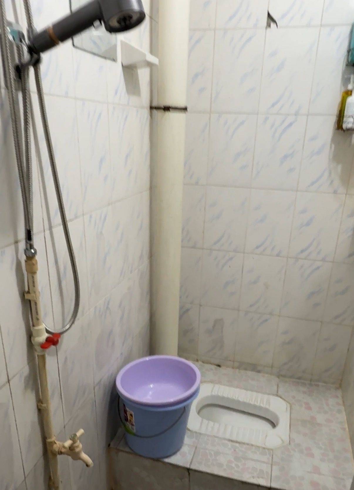 Shenzhen-Longgang-Pet Friendly