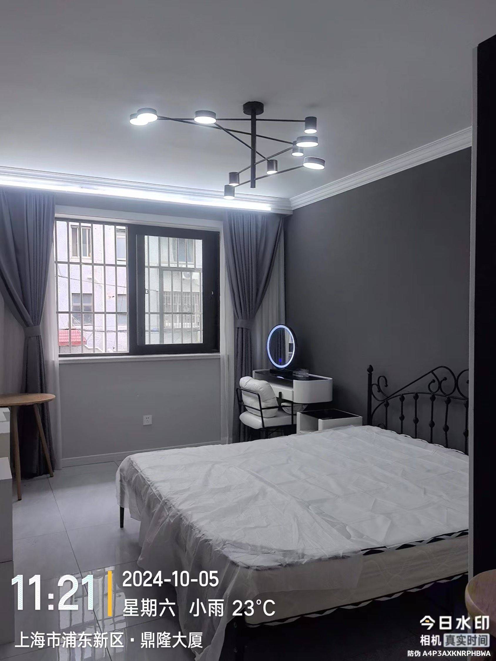 上海-浦東-溫馨小窩,不限性別,寵物友好