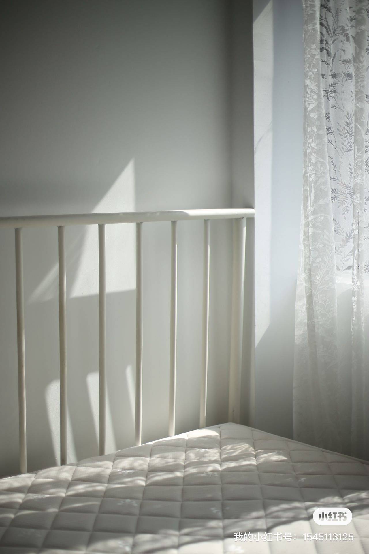 Shanghai-Songjiang-Cozy Home,No Gender Limit,“Friends”,Pet Friendly