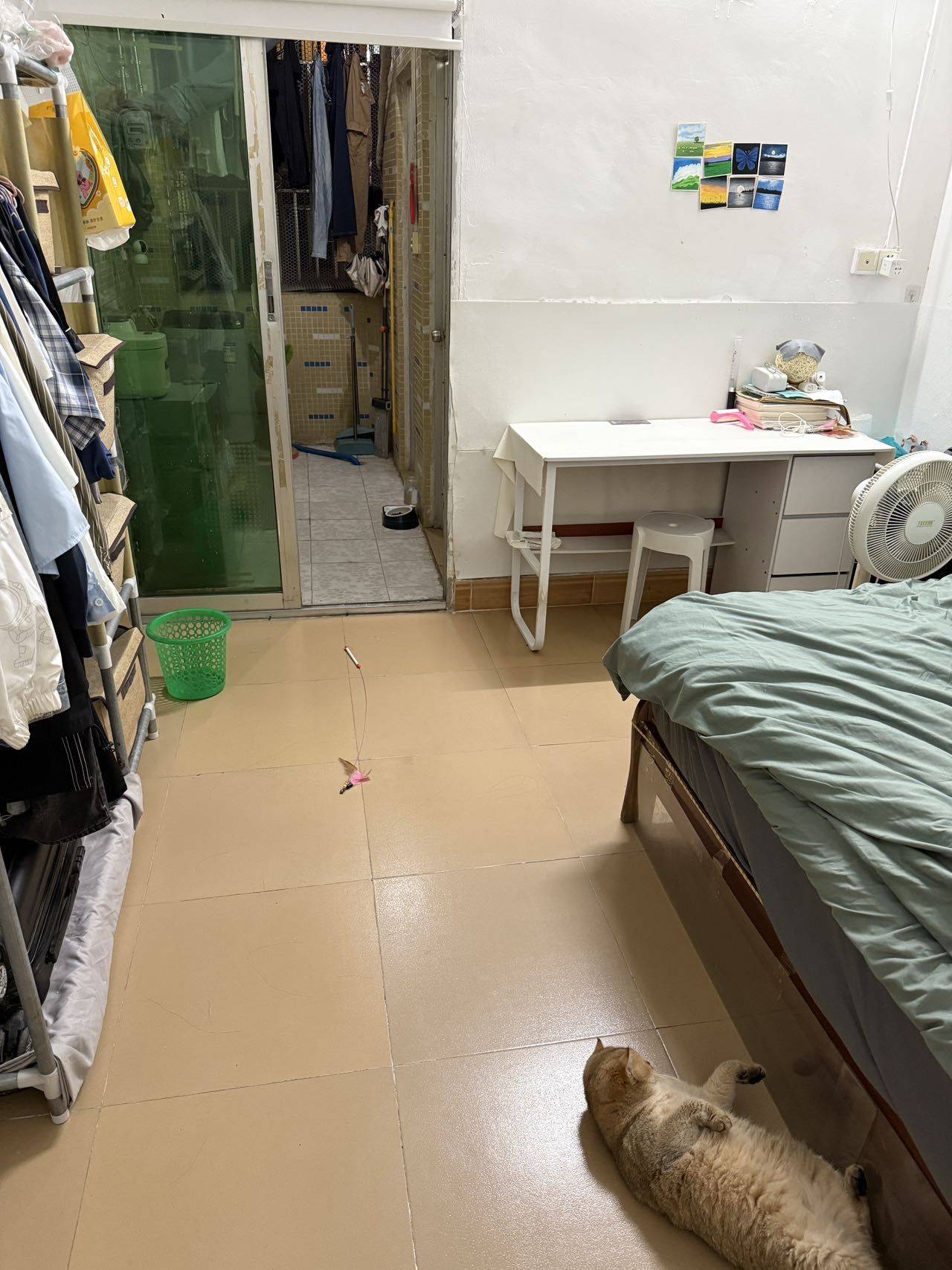 Shenzhen-Longgang-Pet Friendly