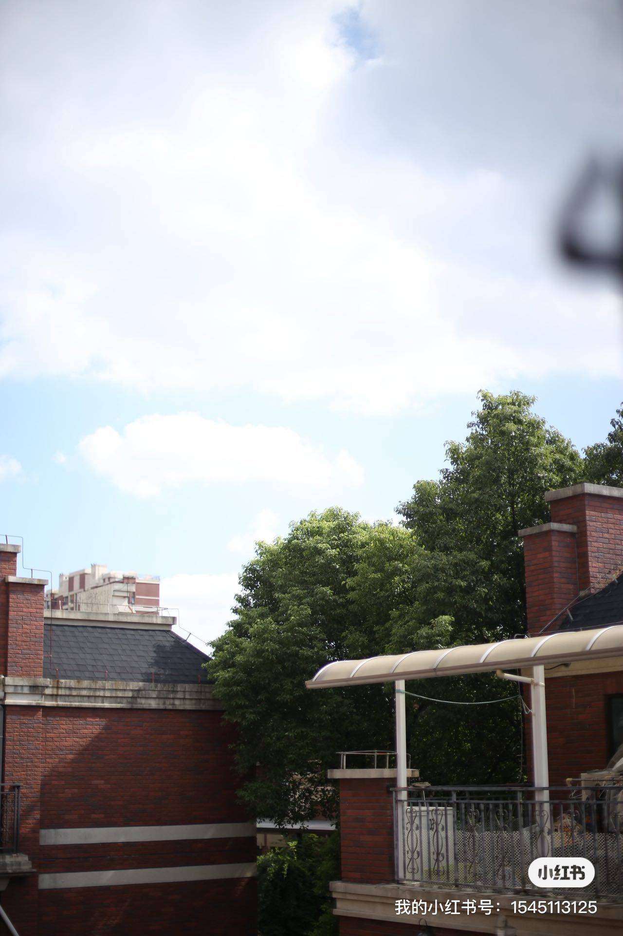 Shanghai-Songjiang-Cozy Home,No Gender Limit,“Friends”,Pet Friendly