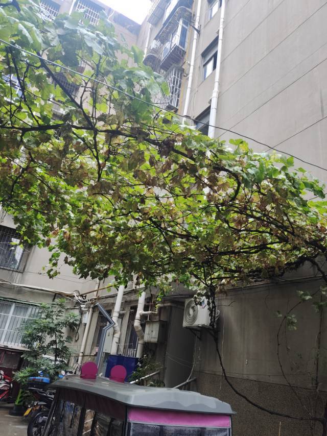 Xi'An-Lianhu-Cozy Home,Clean&Comfy,No Gender Limit,Hustle & Bustle,Pet Friendly