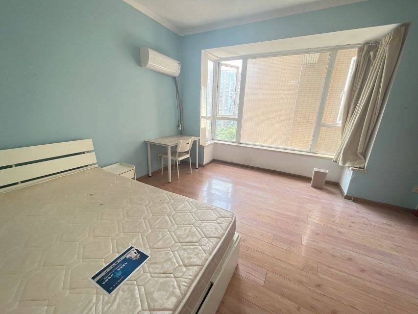 Chengdu-Wuhou-桐梓林,三瓦窑,高新地铁,王府井