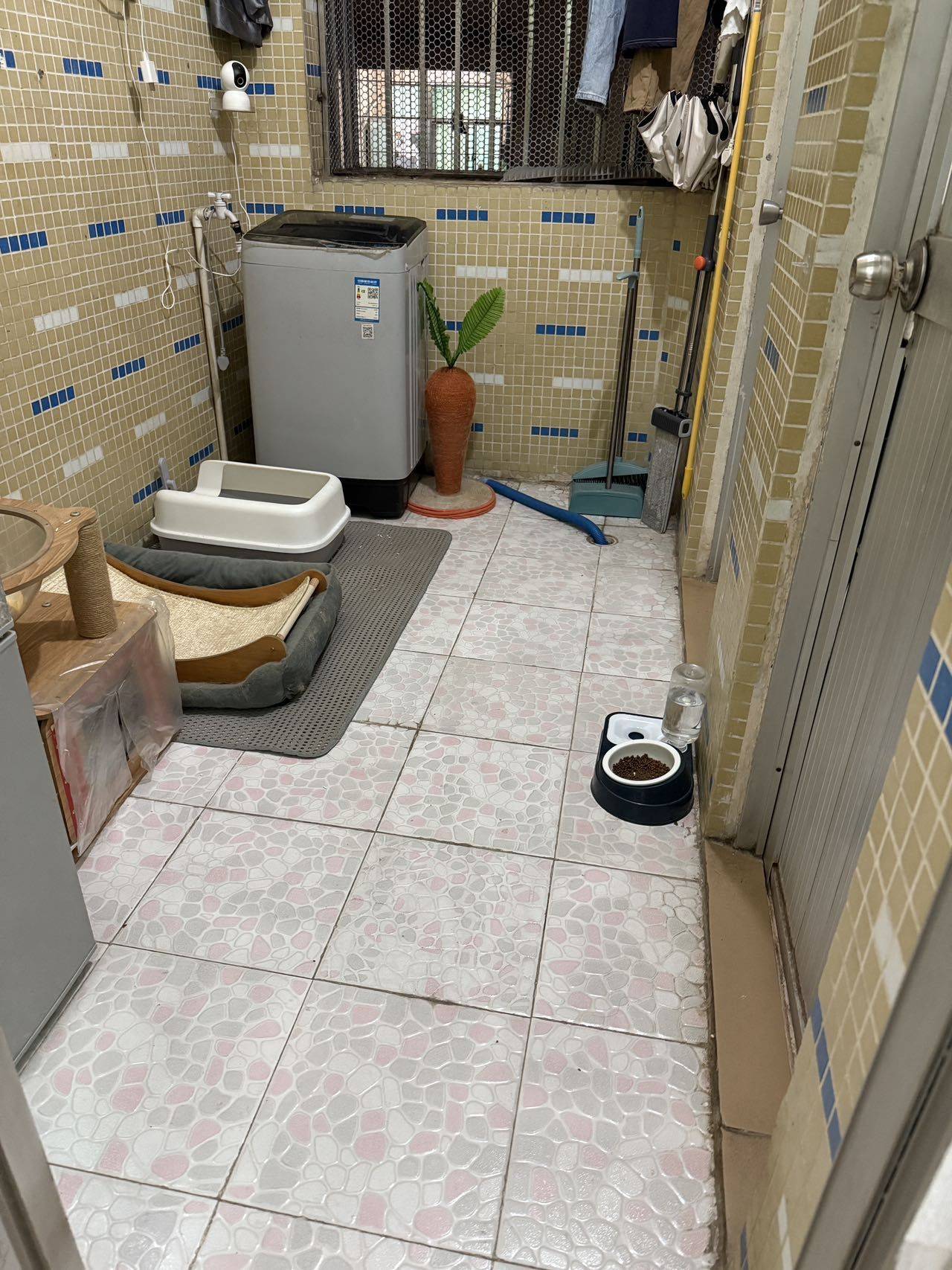 Shenzhen-Longgang-Pet Friendly