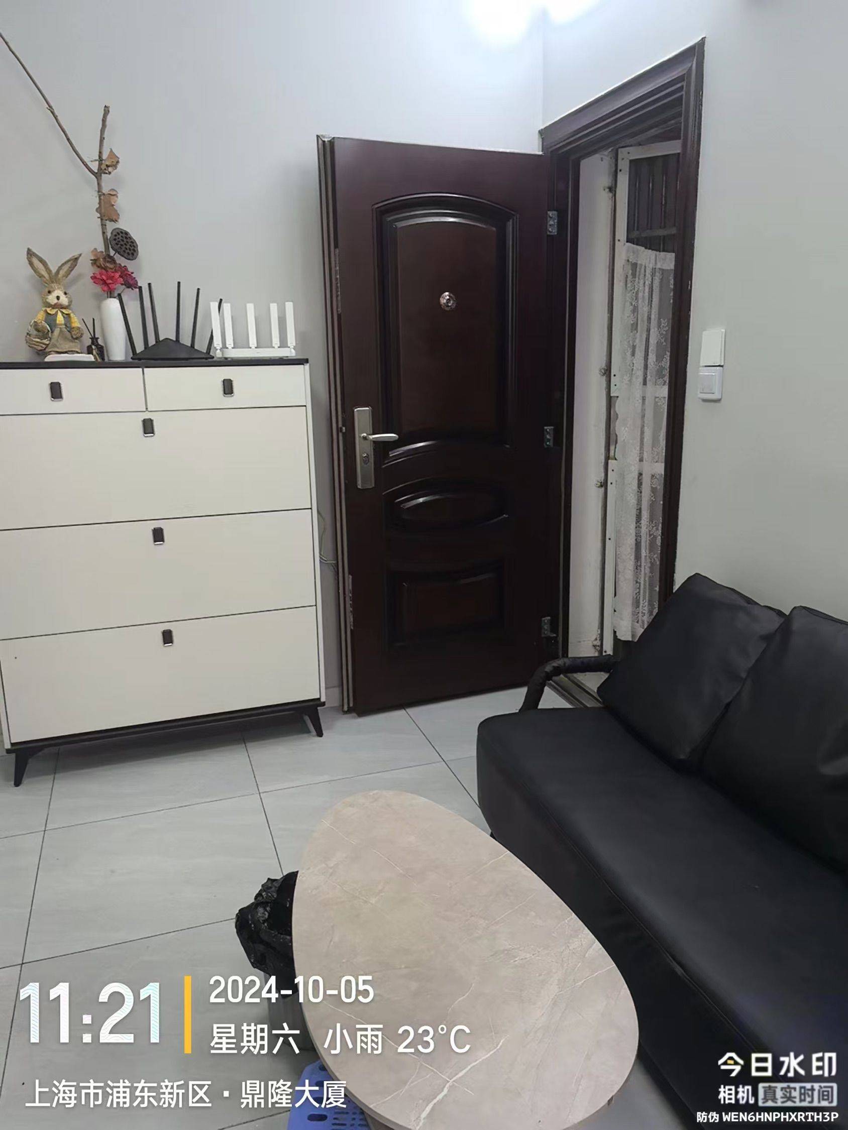 上海-浦東-溫馨小窩,不限性別,寵物友好