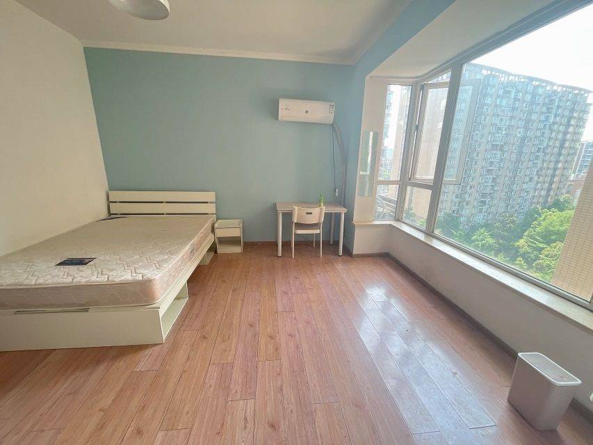 Chengdu-Wuhou-桐梓林,三瓦窑,高新地铁,王府井