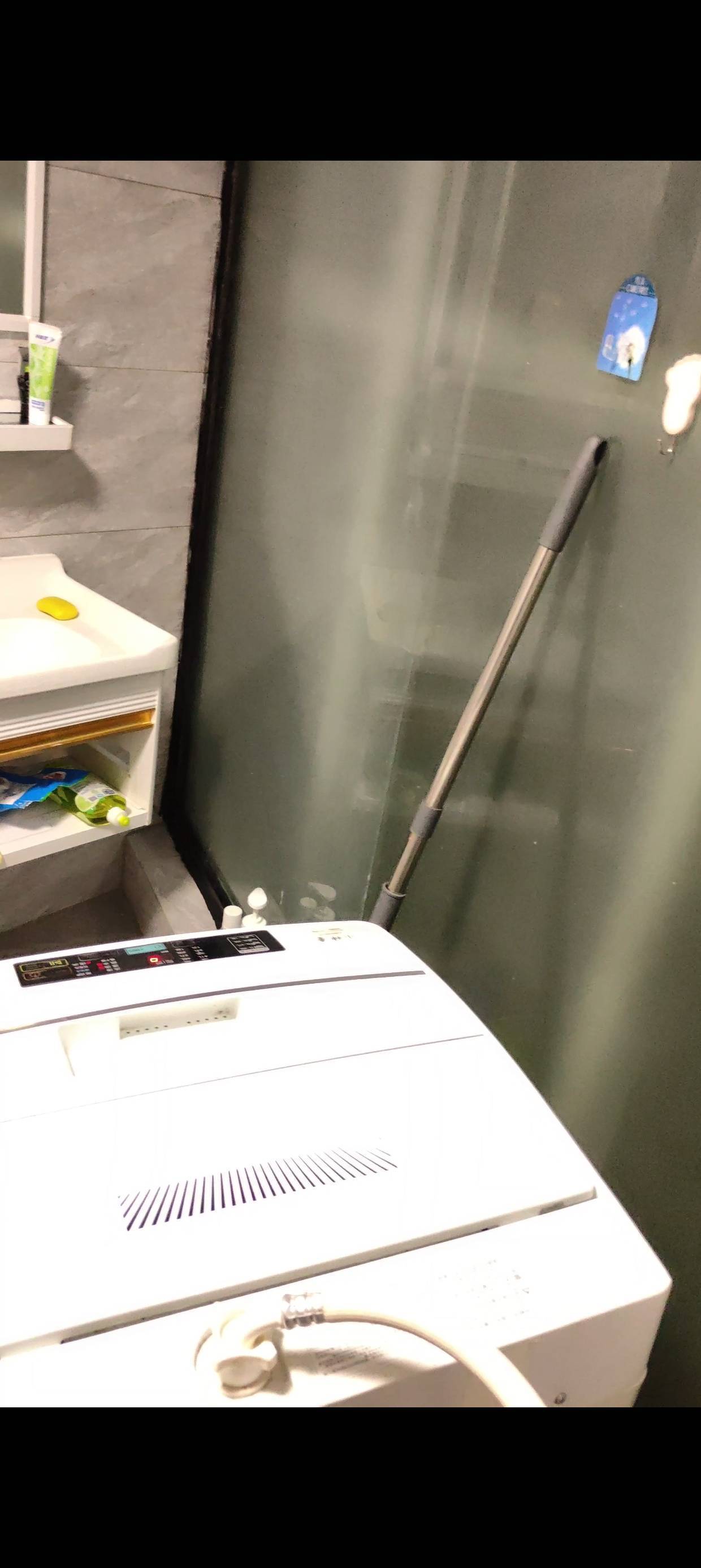 深圳-南山-溫馨小窩,乾淨治愈,不限性別,市井煙火氣,老友記,慢時光,LGBTQ友好,寵物友好