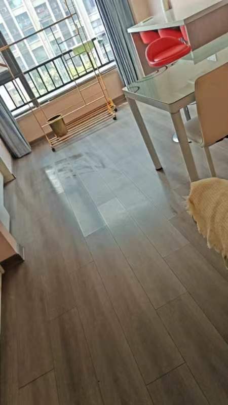 Nanjing-Jiangning-Cozy Home,Clean&Comfy,No Gender Limit,Hustle & Bustle,“Friends”,Chilled,Pet Friendly