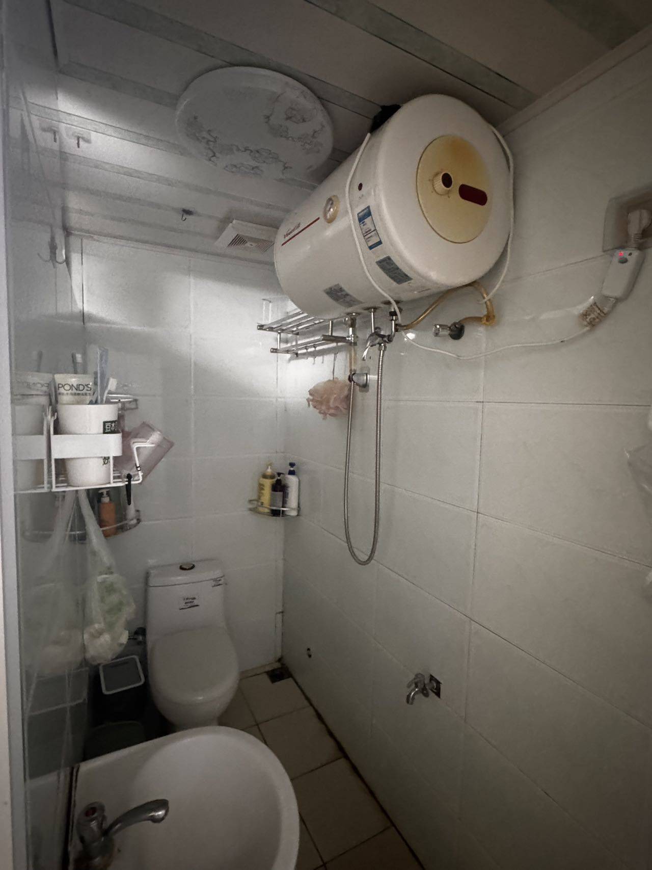 福州-鼓樓區-乾淨治愈,不限性別