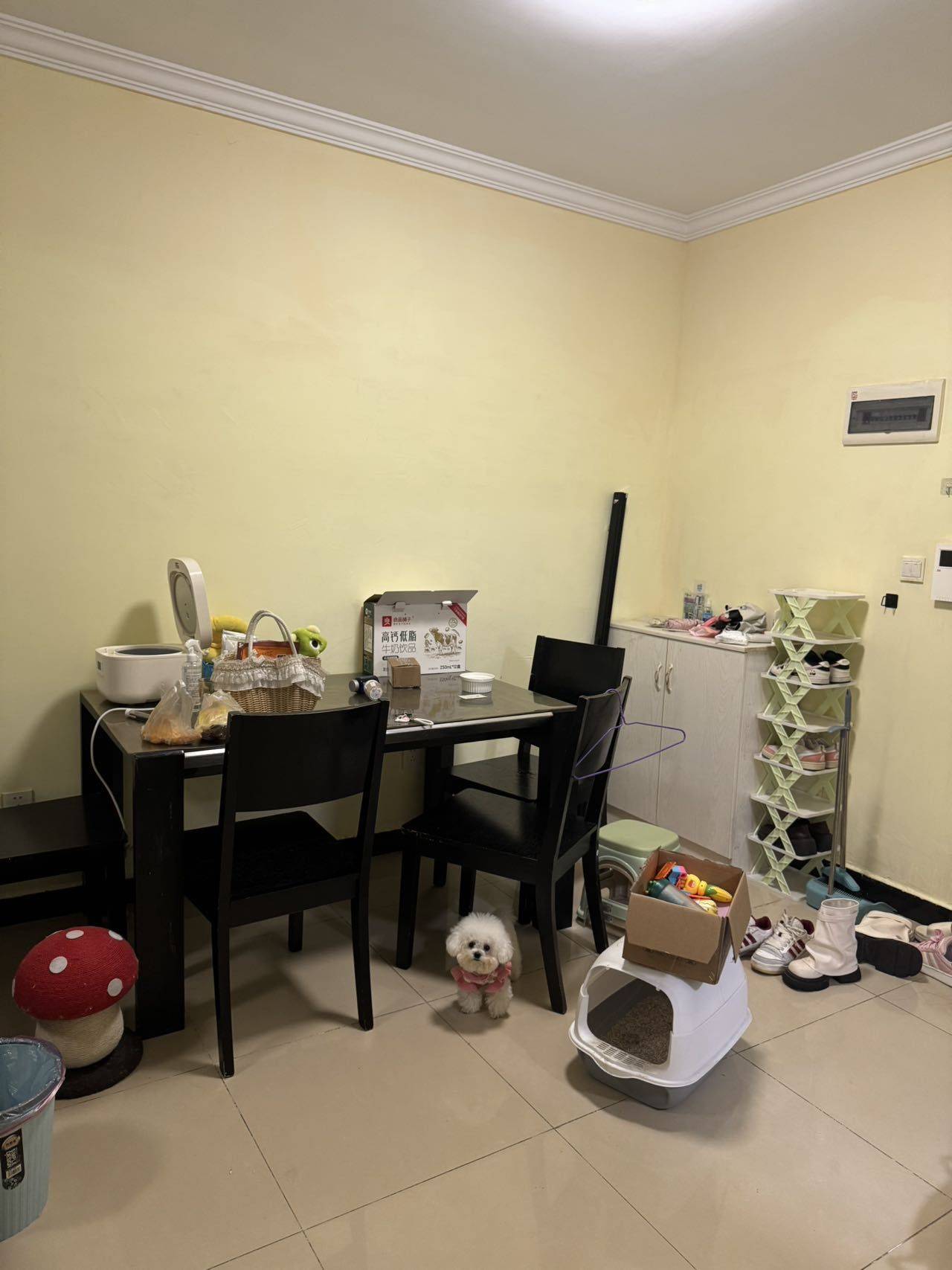 武汉-洪山-溫馨小窩,乾淨治愈,不限性別