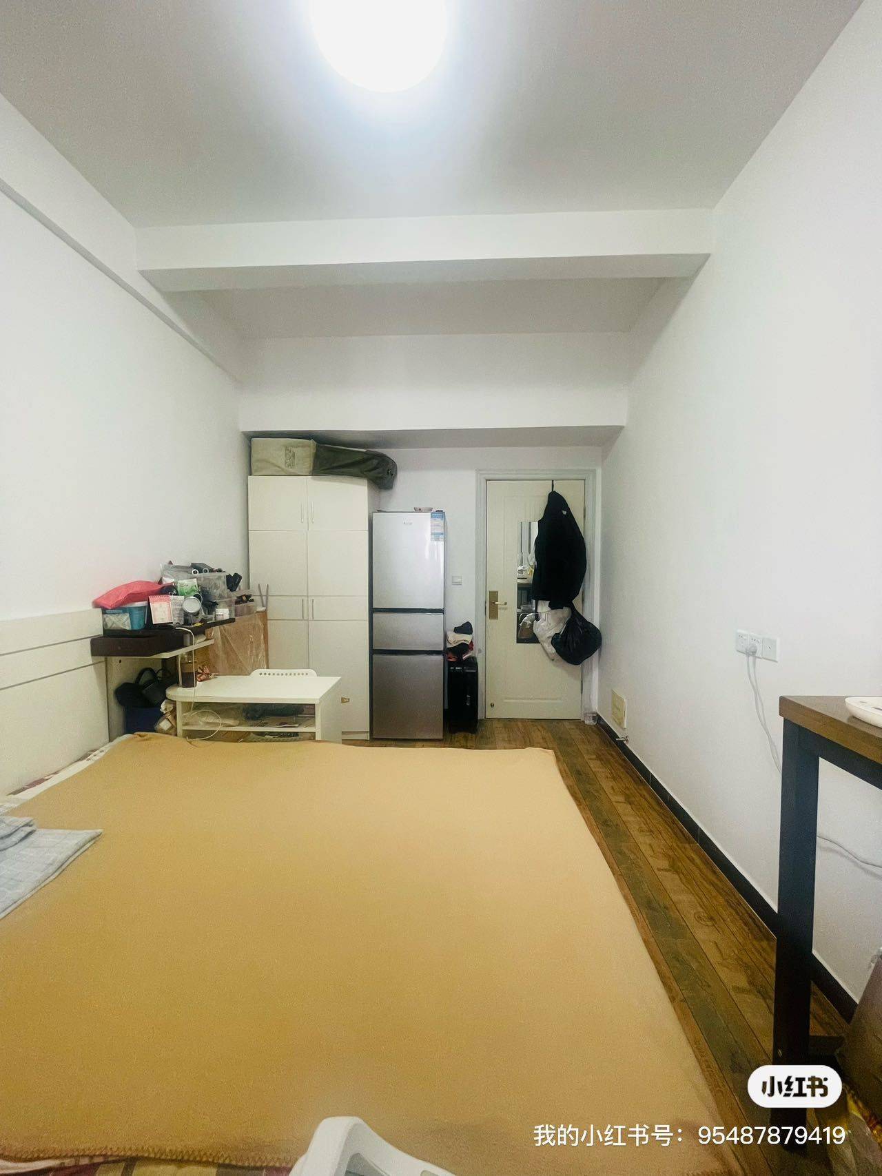 深圳-南山-溫馨小窩,寵物友好