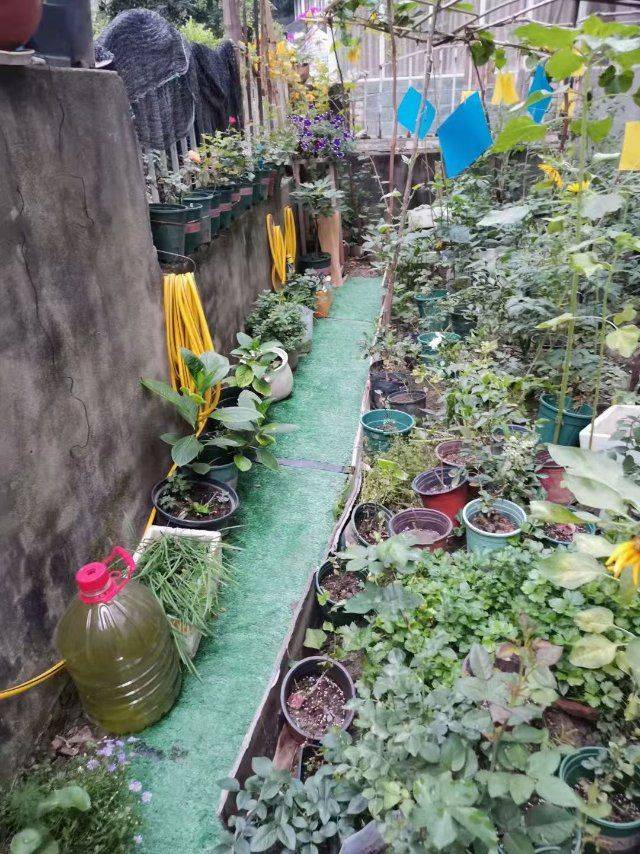 Chengdu-Shuangliu-Cozy Home,Clean&Comfy,No Gender Limit,Hustle & Bustle